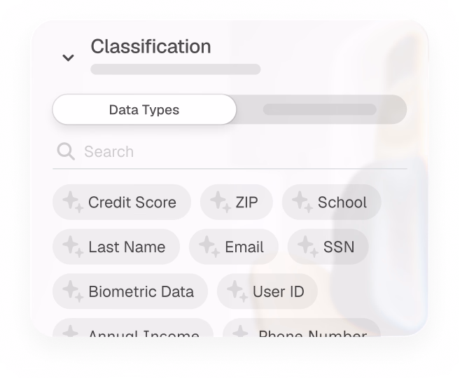Ketch classification panel listing detected data types: credit score, ZIP, school, last name, email, SSN, biometric data, user ID.